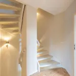 Kleine Lachmoewe Böhl
