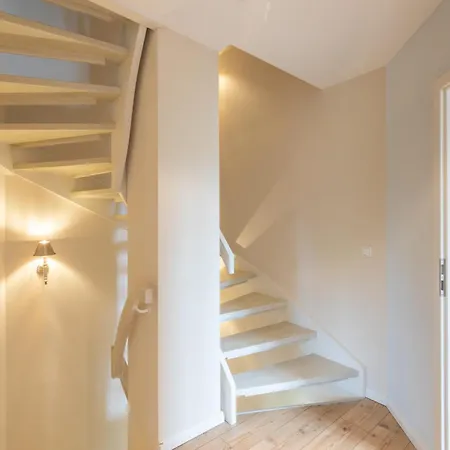 Kleine Lachmoewe Sankt Peter-Ording