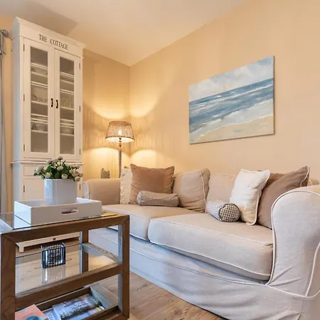 Kleine Lachmoewe * Sankt Peter-Ording