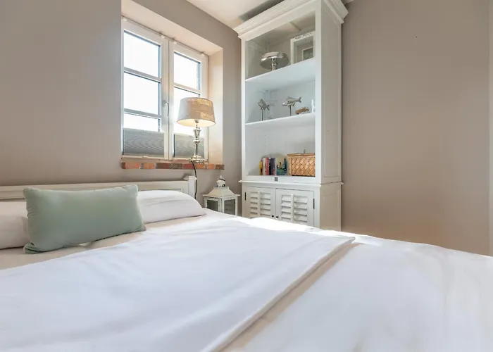 Kleine Lachmöwe Böhl