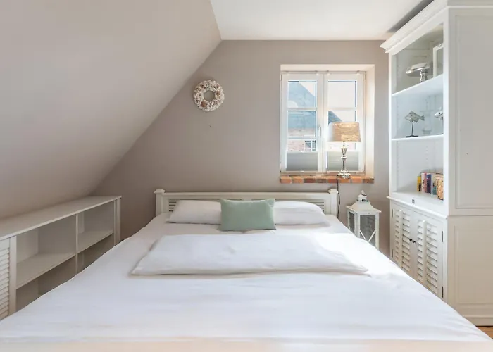 Kleine Lachmöwe * Böhl